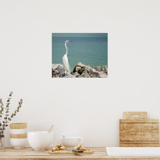 Snowy Egret Poster (Keuken)