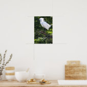 Snowy Egret Poster (Keuken)