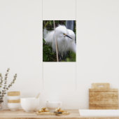 Snowy Egret Poster (Keuken)
