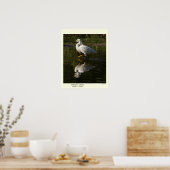 Snowy Egret Print (Keuken)