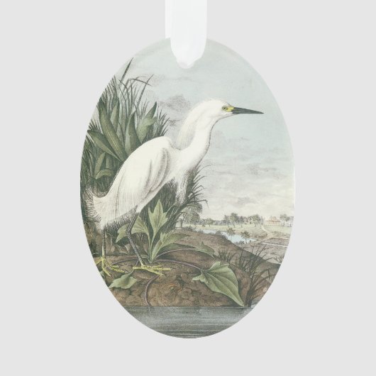 Snowy Egret van Audubon Ornament (voorkant)