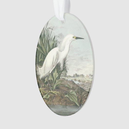 Snowy Egret van Audubon Ornament (voorkant)