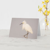 Snowy Egret Walking Wenskaart Kaart (Gele Bloem)