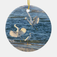 Snowy Egrets Dansend (kan worden gepersonaliseerd)