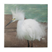 Snowy Egrets Tile Tegeltje (Voorkant)