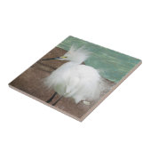 Snowy Egrets Tile Tegeltje (Zijkant)