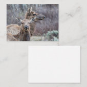 Snowy Elk Notitiekaartje (Voorkant / Achterkant)