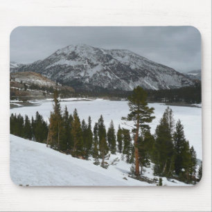 Snowy Ellery Lake California Winter Foto Muismat
