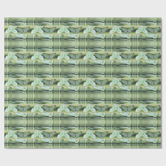 Snowy Emerald moth ~ Wrapping paper Cadeaupapier (Vlak)