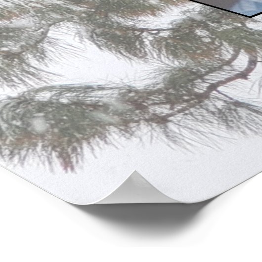 Snowy Evergreen 4 Generation Family Tree Poster (Hoek)