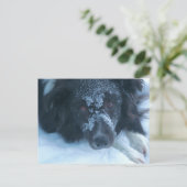 Snowy Faced Border Collie Cute Dog Briefkaart (Staand voorkant)