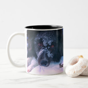 Snowy Faced Border Collie Cute Personated Tweekleurige Koffiemok