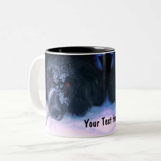 Snowy Faced Border Collie Cute Personated Tweekleurige Koffiemok (Voorkant links)