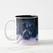 Snowy Faced Border Collie Cute Personated Tweekleurige Koffiemok (Links)