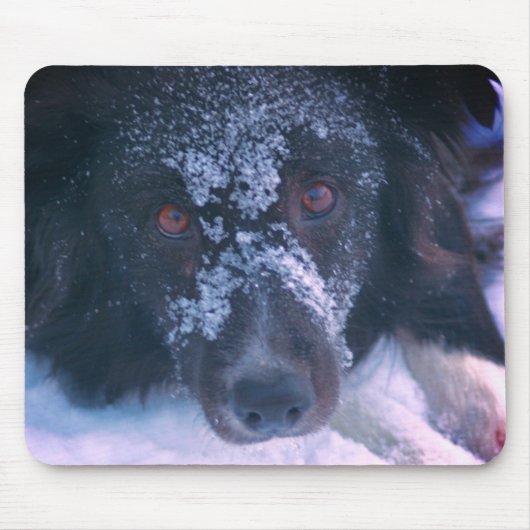 Snowy Faced Border Collie Dog Cute Muismat (Voorkant)