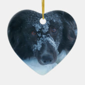 Snowy Faced Border Collie Dog Ornament (Voorkant)