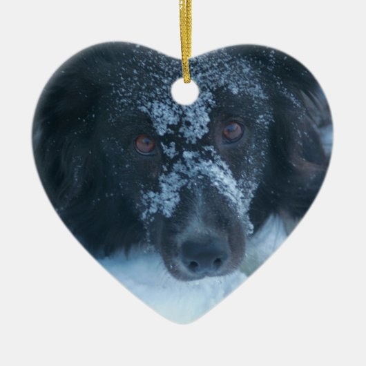 Snowy Faced Border Collie Dog Ornament (Voorkant)