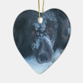 Snowy Faced Border Collie Dog Ornament (Links)