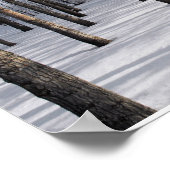 Snowy Fairy Tale Forest Poster (Hoek)