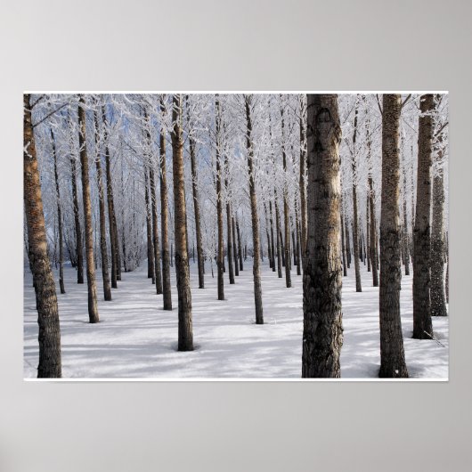 Snowy Fairy Tale Forest Poster (Voorkant)