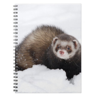 Snowy Ferret-laptop Notitieboek