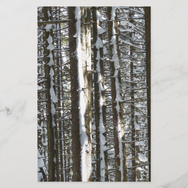 Snowy Fir Tree (Voorkant)