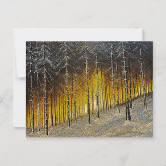 Snowy Forest Briefkaart
