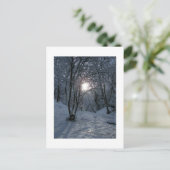 Snowy Forest Trail Briefkaart (Staand voorkant)