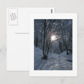 Snowy Forest Trail Briefkaart (Voorkant / Achterkant)