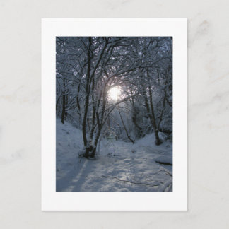 Snowy Forest Trail Briefkaart