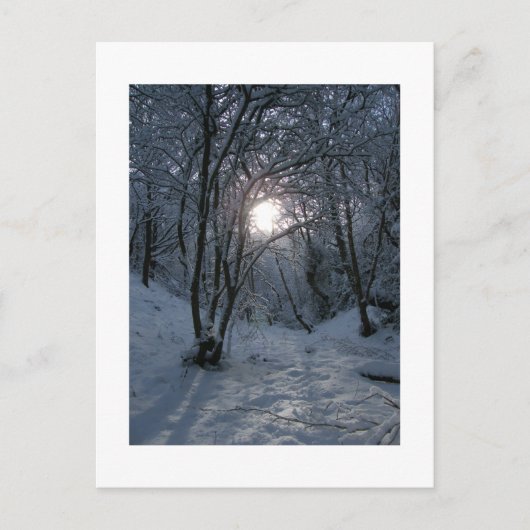 Snowy Forest Trail Briefkaart (Voorkant)