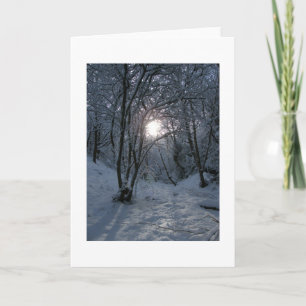 Snowy Forest Trail Kaart