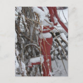 Snowy garden scene briefkaart (Voorkant)