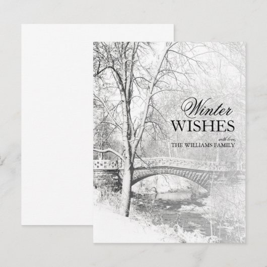 Snowy Garfield Park in zwart-wit Briefkaart (Voorkant / Achterkant)