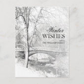 Snowy Garfield Park in zwart-wit Briefkaart (Voorkant)