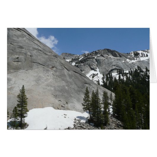 Snowy Granite Domes I in Yosemite National Park (Voorkant Horizontaal)
