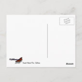 Snowy Granite Domes I in Yosemite National Park Briefkaart (Achterkant)