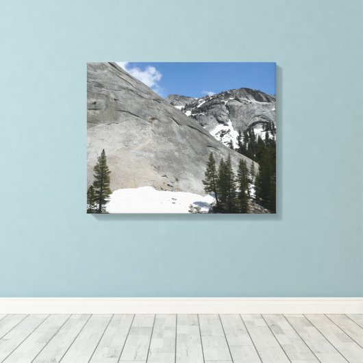 Snowy Granite Domes I in Yosemite National Park Canvas Afdruk (Insitu (Houten vloer))