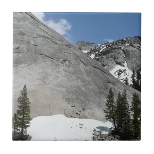 Snowy Granite Domes I in Yosemite National Park Tegeltje (Voorkant)