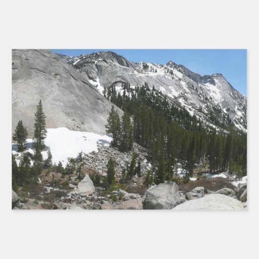 Snowy Granite Domes II Nationaal Park Yosemite Inpakpapier Vel (Voorkant 2)