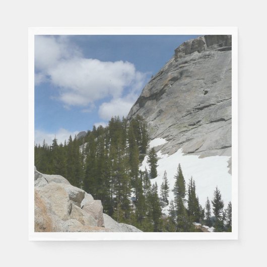 Snowy Granite Domes II Nationaal Park Yosemite Servet (Voorkant)
