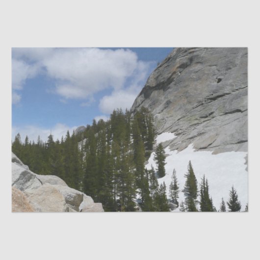 Snowy Granite Domes II Nationaal Park Yosemite Tissuepapier (Voorkant)