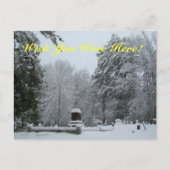 Snowy Graveyard Briefkaart (Voorkant)