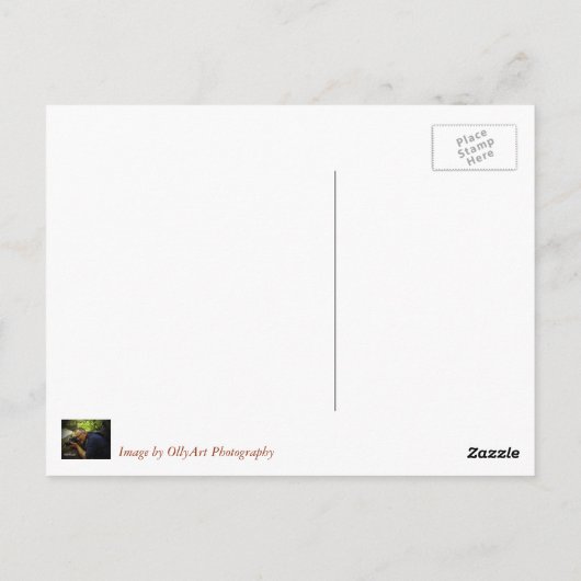 Snowy Great Lode Mines, Cornwall. Briefkaart (Achterkant)