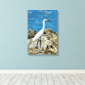 Snowy Gret op de rotsen Canvas Afdruk (Insitu (Houten vloer))