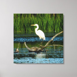 Snowy Gret op Log Canvas Print