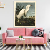Snowy Heron (Egret) - de Amerikaanse vogelstand va Canvas Afdruk (Insitu (Woonkamer))