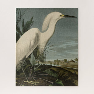 Snowy Heron (Egret) - de Amerikaanse vogelstand va Legpuzzel