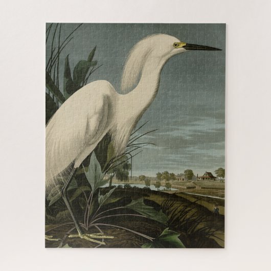 Snowy Heron (Egret) - de Amerikaanse vogelstand va Legpuzzel (Verticaal)