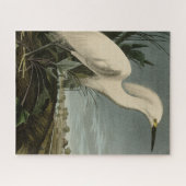 Snowy Heron (Egret) - de Amerikaanse vogelstand va Legpuzzel (Horizontaal)